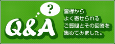 Q&A